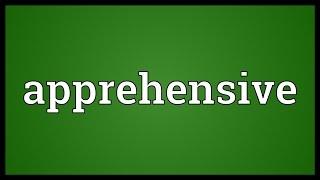 Apprehensive Meaning