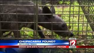 Texas family claims to have caught chupacabra