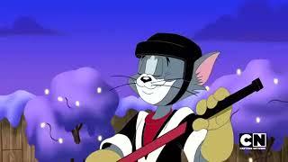 ||Best tom and jerry collection||tom and jerry cartoon||