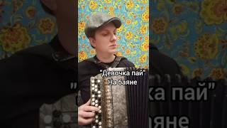 Девочка пай - Михаил Круг, на баяне #баянист #баян #гармонь #шансон #михаилкруг