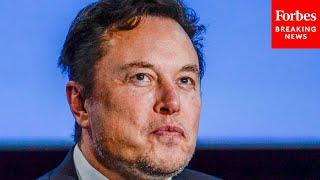 Elon Musk's Stark Warning: ‘Civilization Will Crumble’ Without These Key Factors