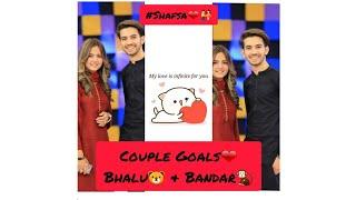 #Shafsa new latest tik toks of Shaheer khan & Hafsa khanCouple goals