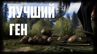 КАК ЮТУБЕРЫ ПОЛУЧАЮТ ЛУЧШИЙ ГЕН? - RUST / РАСТ