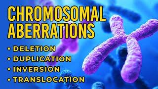 Chromosomal Aberrations | Deletion | Duplication | Inversion | Translocation