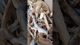 sukthi burri #fiss #shortvideo #viral #trendpost #ytshortsindia #food