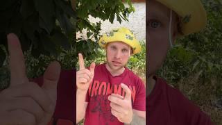 РЕБЁНОК С ОСОБЕННОСТЬЮ (смешное видео, приколы, юмор, поржать, прикол, вайны)