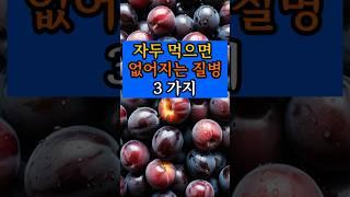 자두먹으면 없어지는 질병3가지