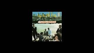 Split Image - I Need You To Be Here