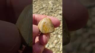 Guide to finding gemstones in nature expensive