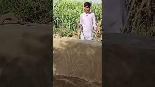 Bagi ki Village Life  #villagefamilyvlogs #vlog #travelvideo #villagelifestyle