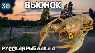 Русская рыбалка 4 - Трофейный Рак на Вьюнке ! [#38]