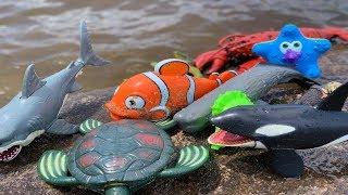 Dive into Summer Fun!  Sea Animal Toys at the River - Learn & Play