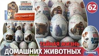 Шоколадные яйца тайная жизнь домашних животных. Распаковка сюрпризов