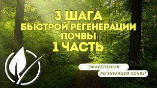 3 Шага к быстрой регенерации почвы Часть 1: Поиск полезных микробов в вашем регионе.