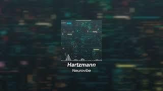 Hartzmann - Neurovibe