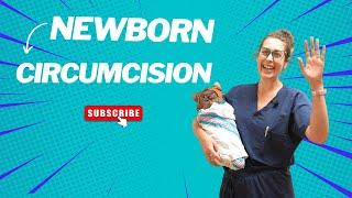 Newborn Circumcision: anticipatory guidance and how-to procedure tutorial