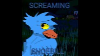 SCREAMING SHOEBILL - FF Creepypasta