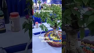 Farmers welfare