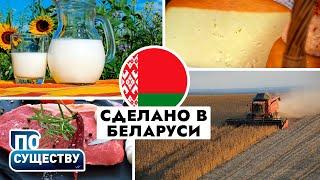 Когда Беларусь построит свой самолёт? | Рекорды импортозамещения | По существу. Ток-шоу