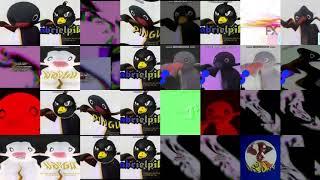 16 Pingu With Effects Combined