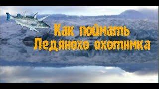 16) My Fishing World Как поймать ледяного охотника!?