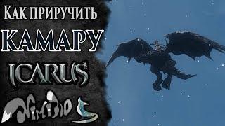 Icarus online(RU). Как приручить...#29. Камара. Берег Парны