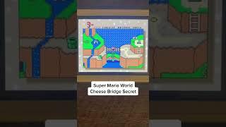 Mario World Incredible Secret!