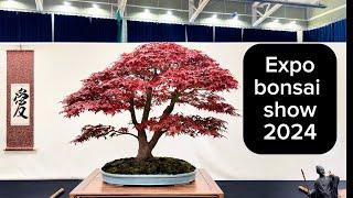 Expo bonsai show 2024 #new #trending #bonsaiuk #bonsaiusa #bonsaijapan #japan