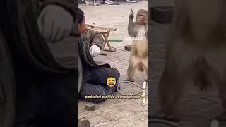 узбек прикол Чингиз
