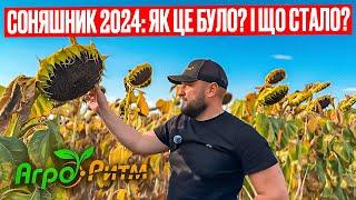 БАГАТОСТРАЖДАЛЬНИЙ СОНЯШНИК 2024: ЯК ЦЕ БУЛО?