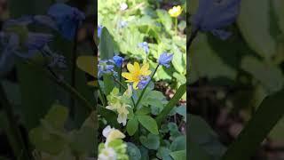 ЗДЕСЬ И СЕЙЧАС | Психолог Светлана Рожкова  #психолог  #психология  #семейныйпсихолог