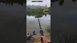 #русскаярыбалка4 #рыбалка #rf4 #рр4 #russianfishing4 #симулятор #apostollivegames #игра #games