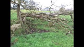 Cairn Duff Bronze Age Burial Mound, Stewarton