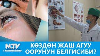 NewTV// КӨЗДӨН ЖАШ АГУУ ООРУНУН БЕЛГИСИБИ? // #ДАБАГЕР