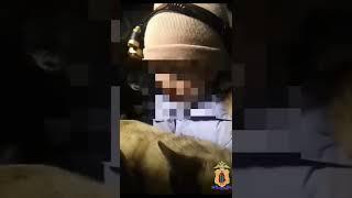 Вот правильно воспитанный ребенок! Только многим ли детям так с родителями везет?