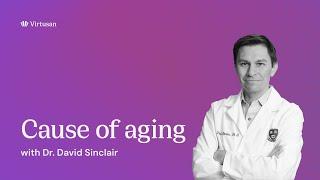 "The Cause of Aging" by Dr  David Sinclair - Virtusan