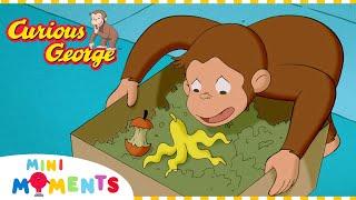 George's Trash Troubles! ️ | Curious George | Compilation | Mini Moments