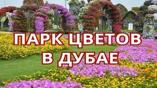 Парк цветов в Дубае (Dubai Miracle Garden)  Цветущий оазис в пустыне.