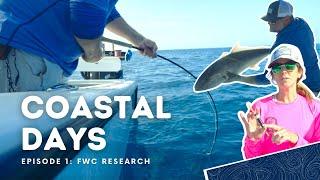 Coastal Days, Ep. 1: Fisheries Research with FWC