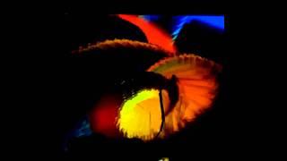Visual Effects at Halcyon HD