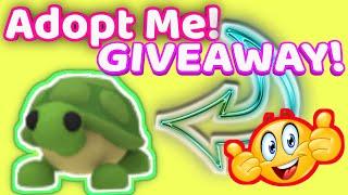 Adopt Me Turtle Giveaway 2022! + Ancient Dragon Winner ️ #adoptmegiveaway #adoptmeturtle