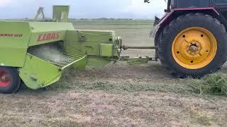 Claas Markant 60 vs BELARUS