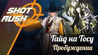 Black Desert / BD: Гайд на Тосу (в ПВЕ - Пробуждение) от 28.10.24