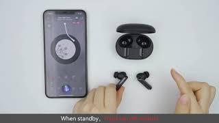 How to use Haylou X1 true wireless Bluetooth v5.2 earphones(For IOS)