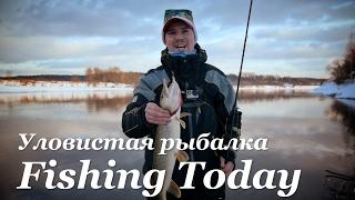 Основы "Джиг-рига"! Но поймал и на джиг! - Fishing Today