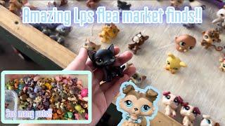 *HUGE* Lps flea market hunt l + Lps haul!! | main 5’s, shorthairs + more!