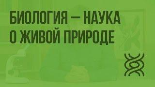 Биология — наука о живой природе. Видеоурок по биологии 5 класс