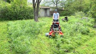 The neighbor couldn't continue taking care of this overgrown mess...