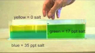 Ocean stratification demonstration (salinity and temperature)