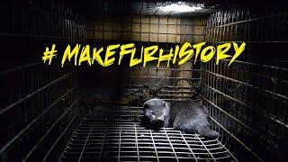 Inside Canada's Fur Farms